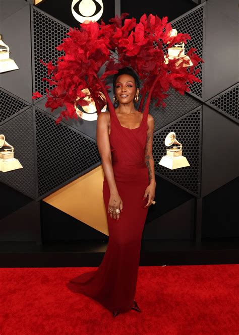 grammy outfits 2024|grammy red carpet 2024 oops.